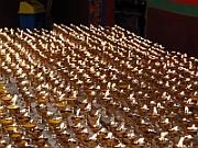DSC01771 
